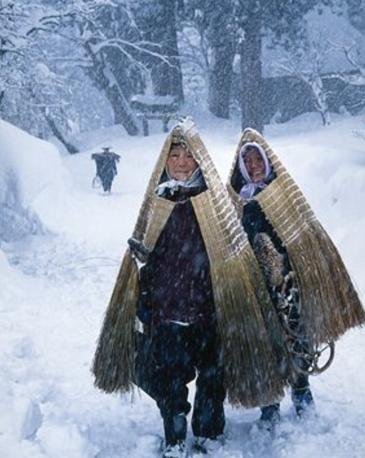 japanese mino snow